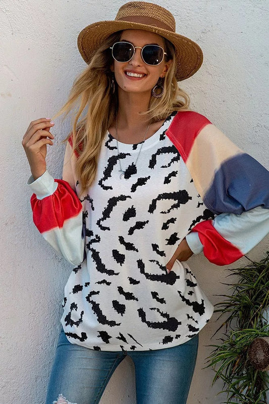 Zebra Lantern Sleeve